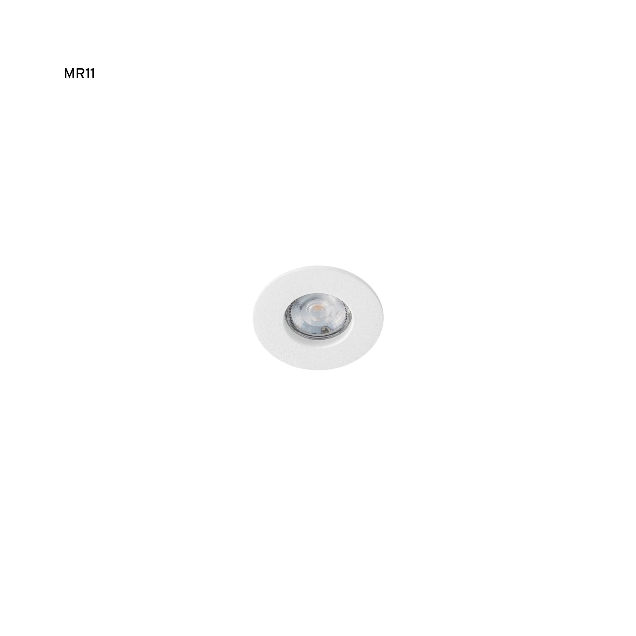 Spot Mini